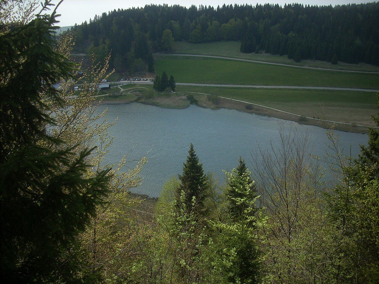 Tourbière de la combe du lac à Lamoura