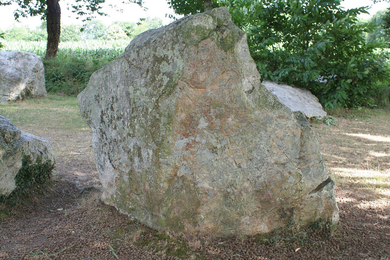 Alignement mégalithique du Champ des Roches (cimetière des druides) à Pleslin-Trigavou