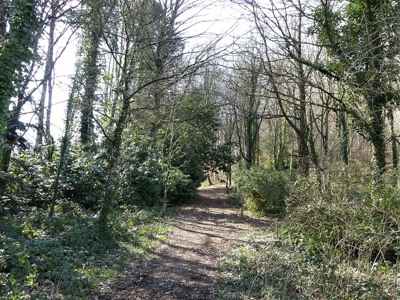 Arboretum de la Fôt à Noth