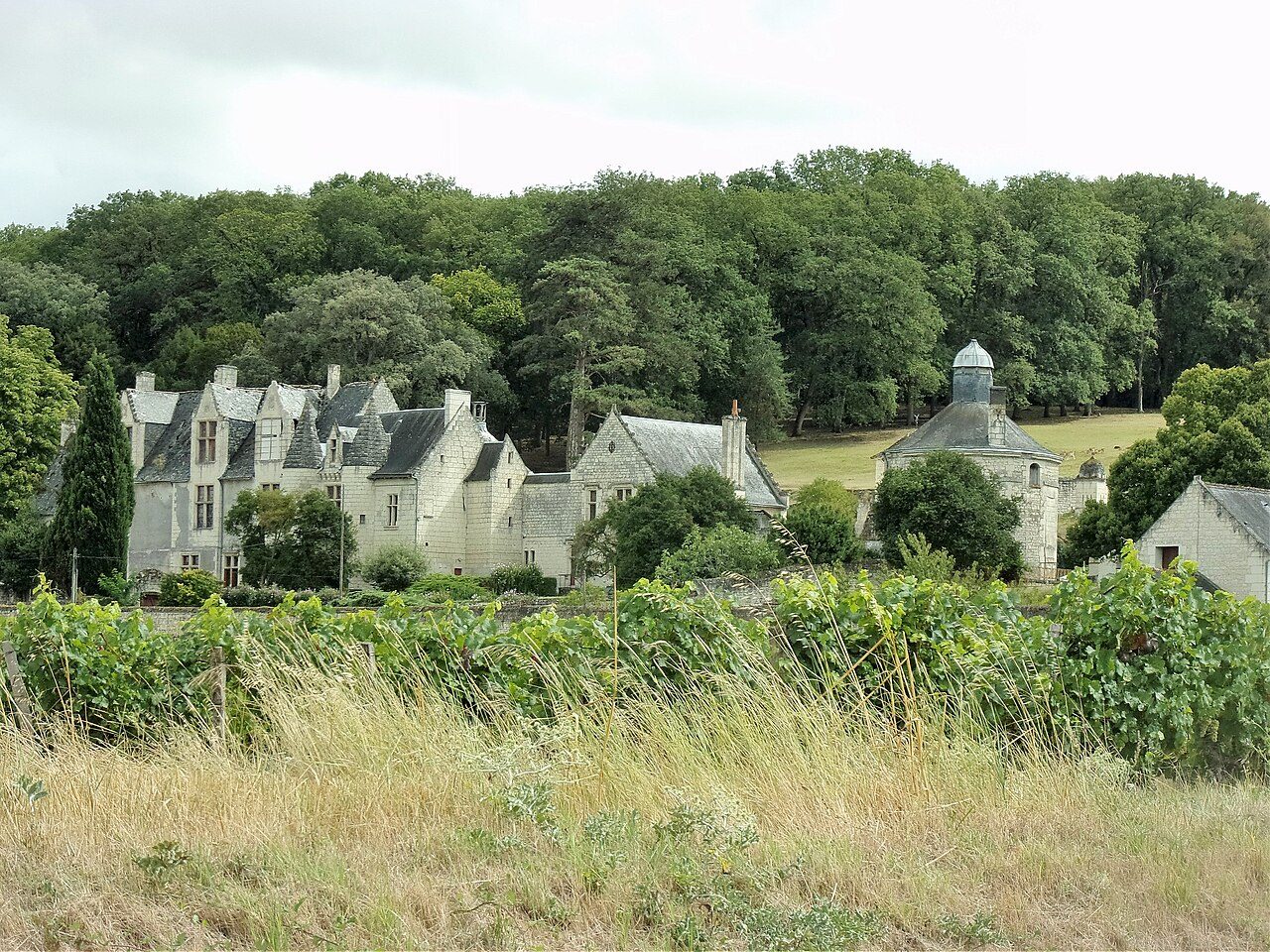Château de la Vauguyon à Chinon