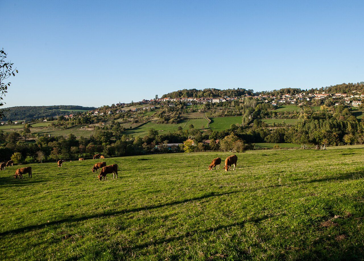 Village d'Alise-Sainte-Reine à Alise-Sainte-Reine