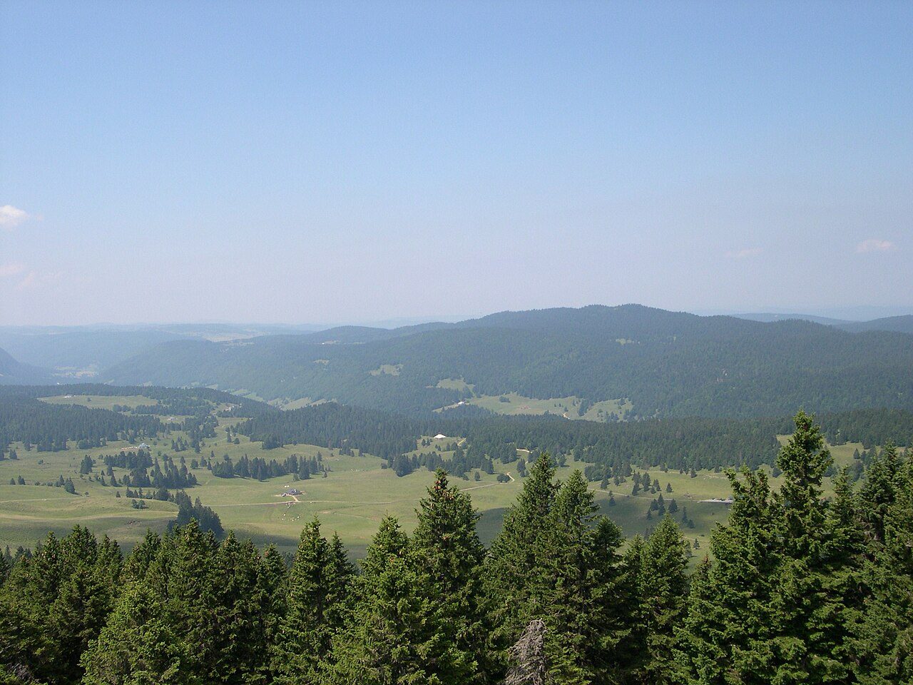 La Forêt du Massacre