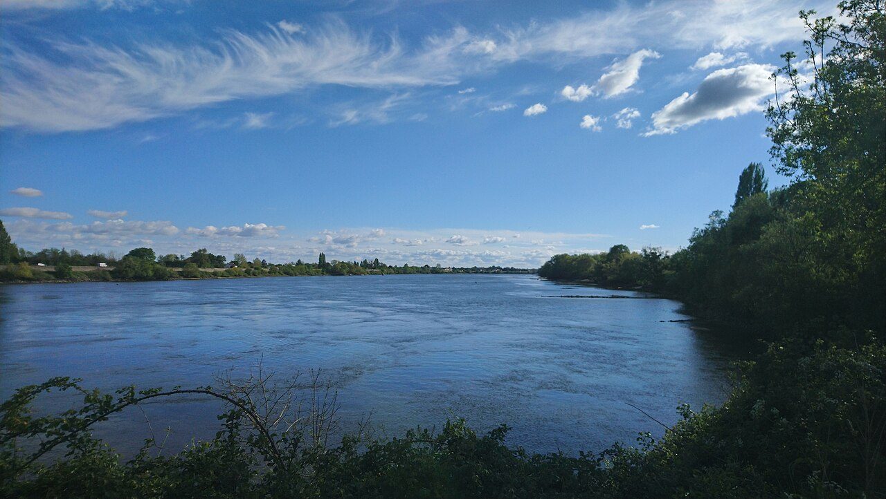 La Loire à Saint-Julien-de-Concelles