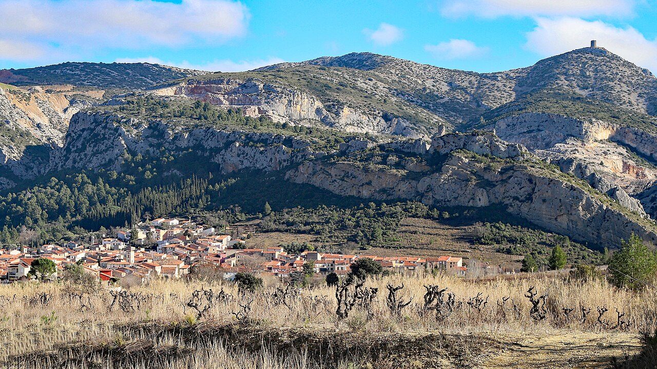 MUSEE DE PREHISTOIRE DE TAUTAVEL à Tautavel