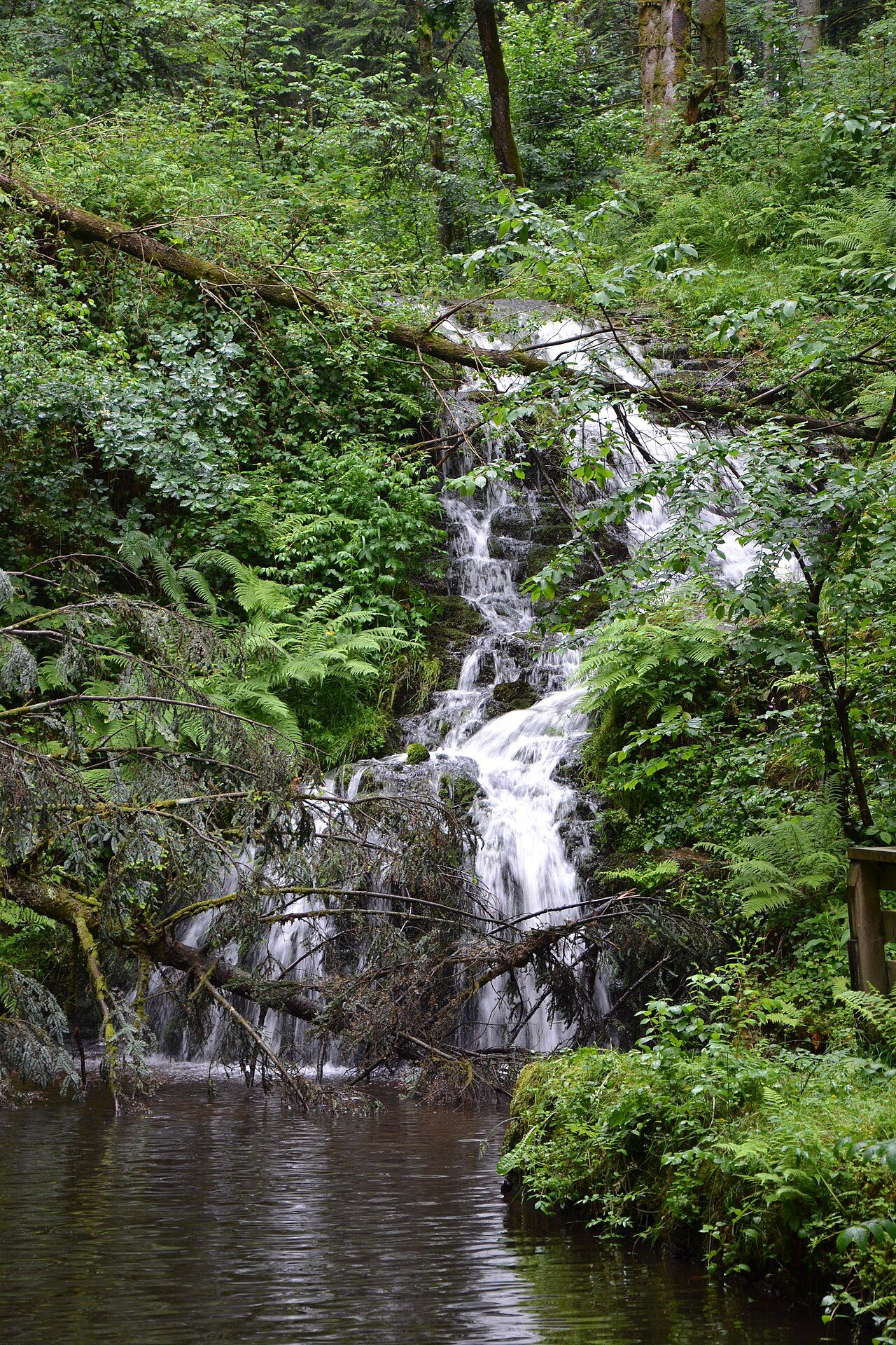 Cascade de Faymont à Le Val-d'Ajol