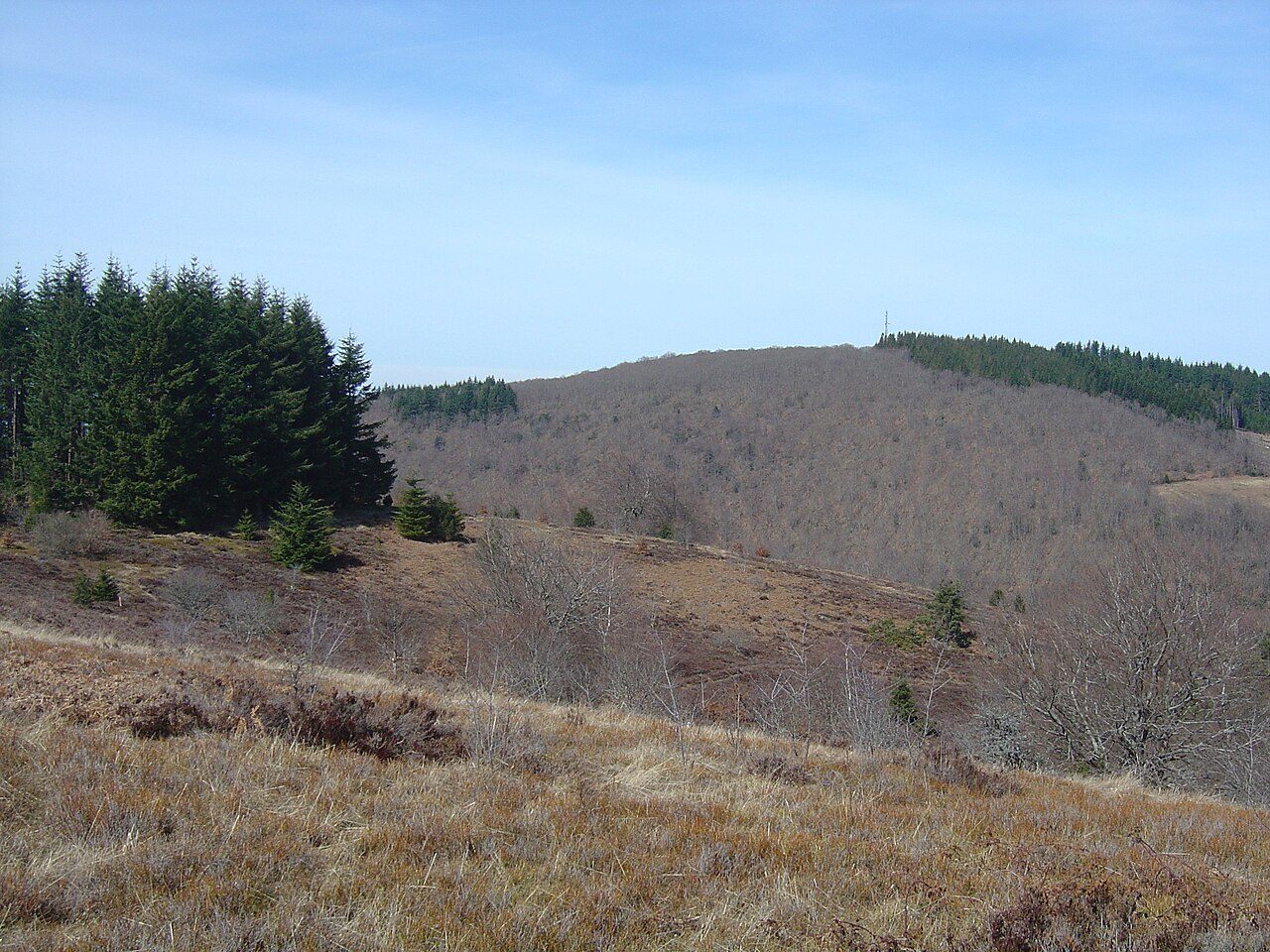 Puy de la Monédière à Veix