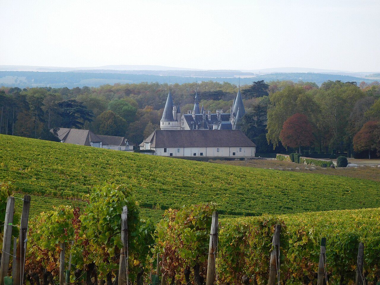 Vignoble de Pouilly-Fumé et Pouilly-sur-Loire à Pouilly-sur-Loire