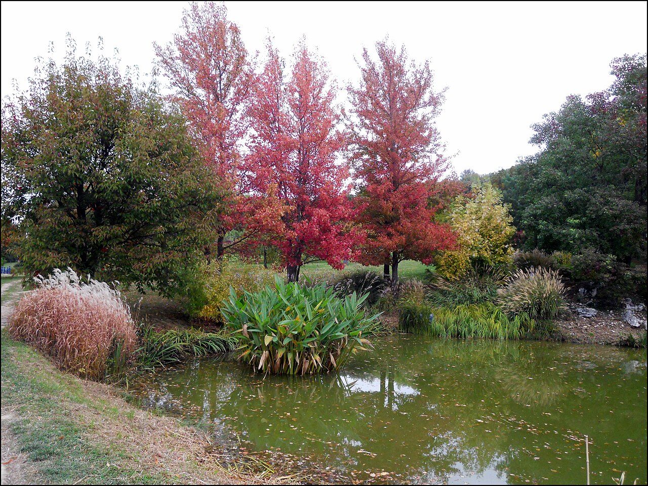 Jardin du Bois Marquis