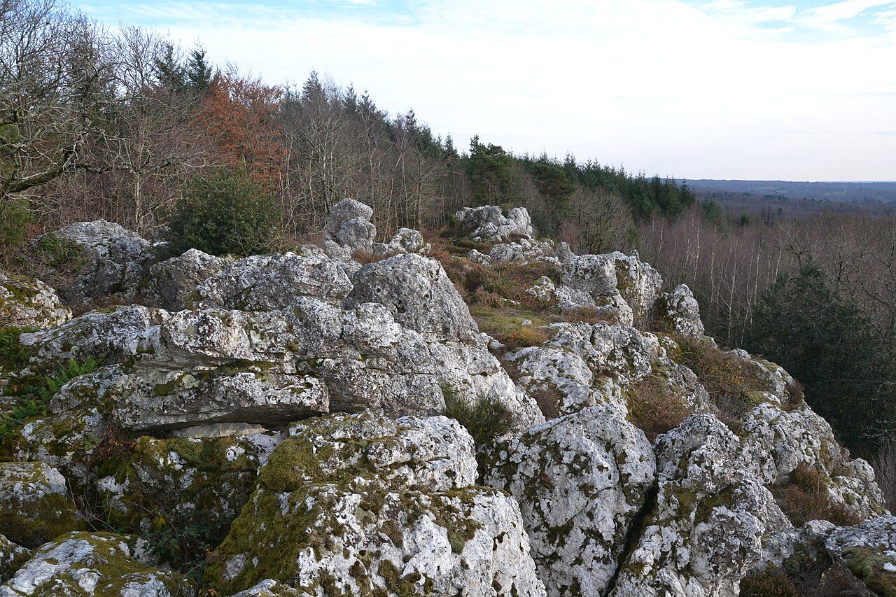 Les landes de la Butte de Frochet à Val d'Issoire