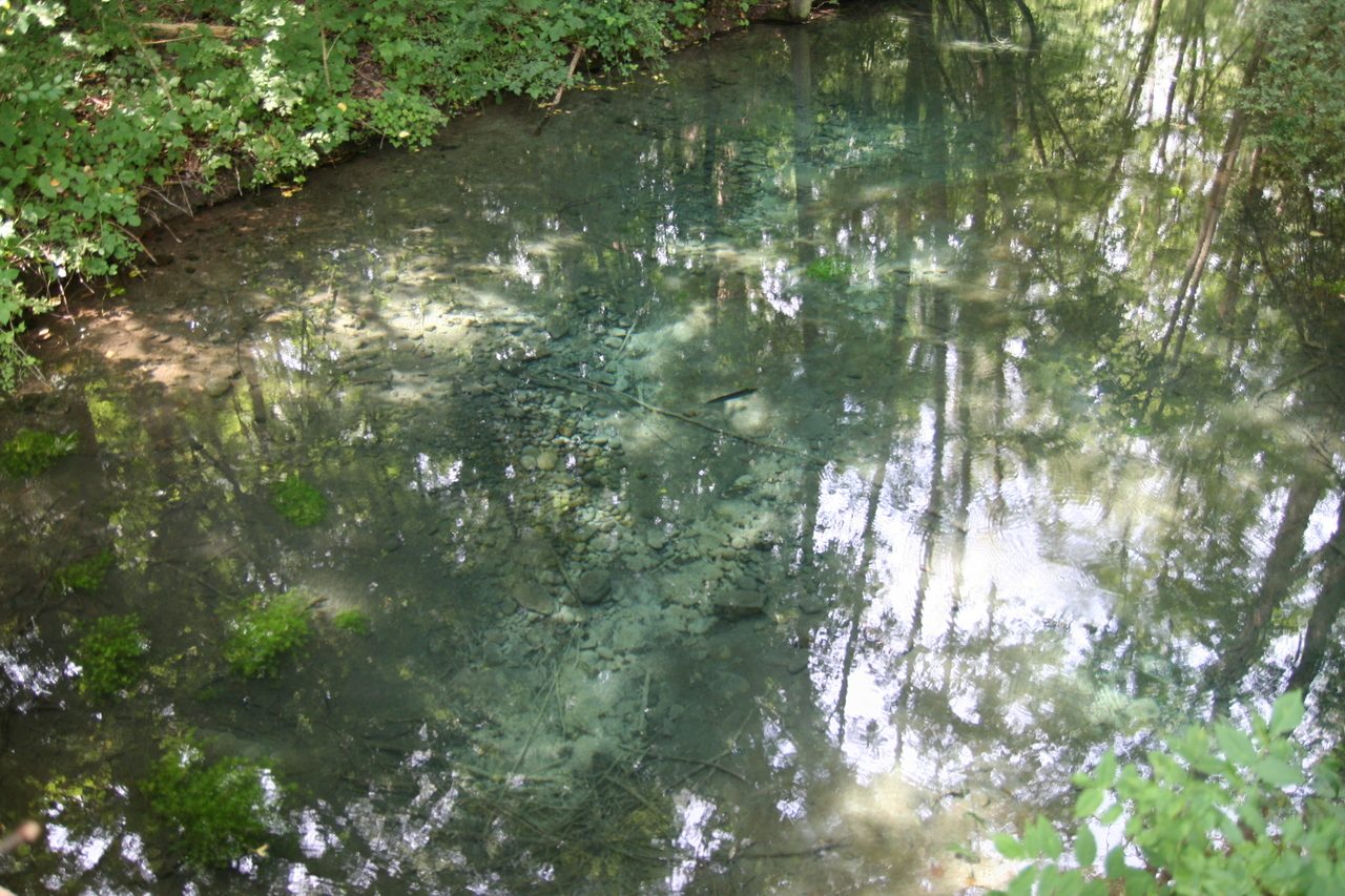 Petite Camargue Alsacienne