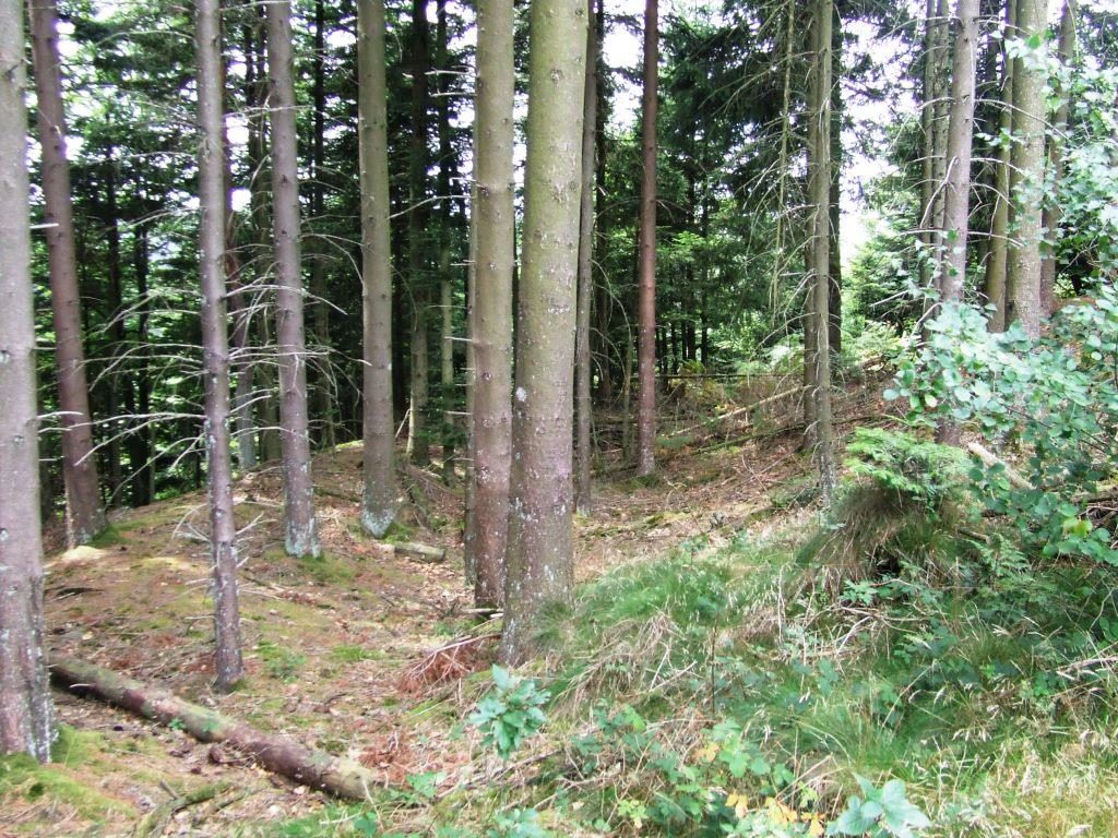 Site Fortifié : Varrinchâtel
