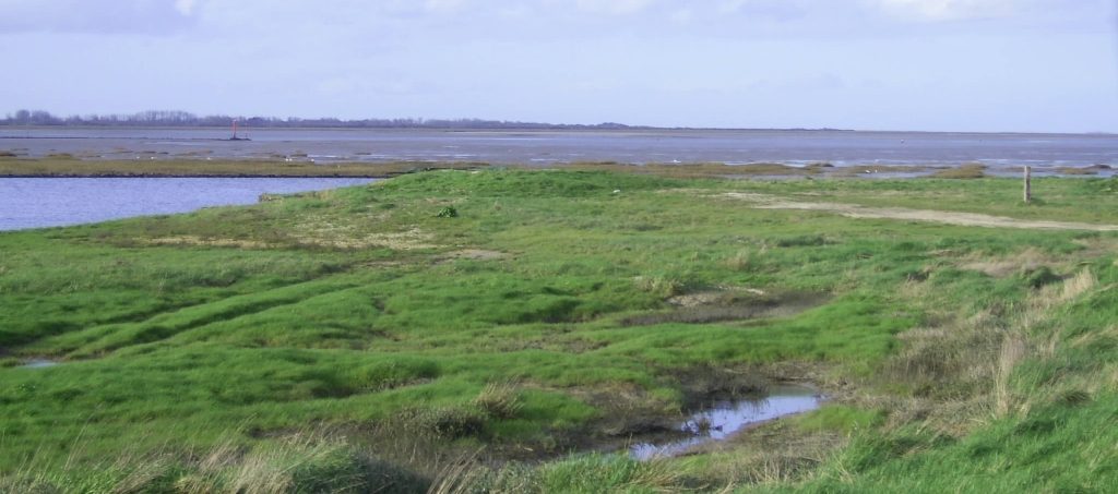 Réserve Naturelle Nationale du domaine de Beauguillot