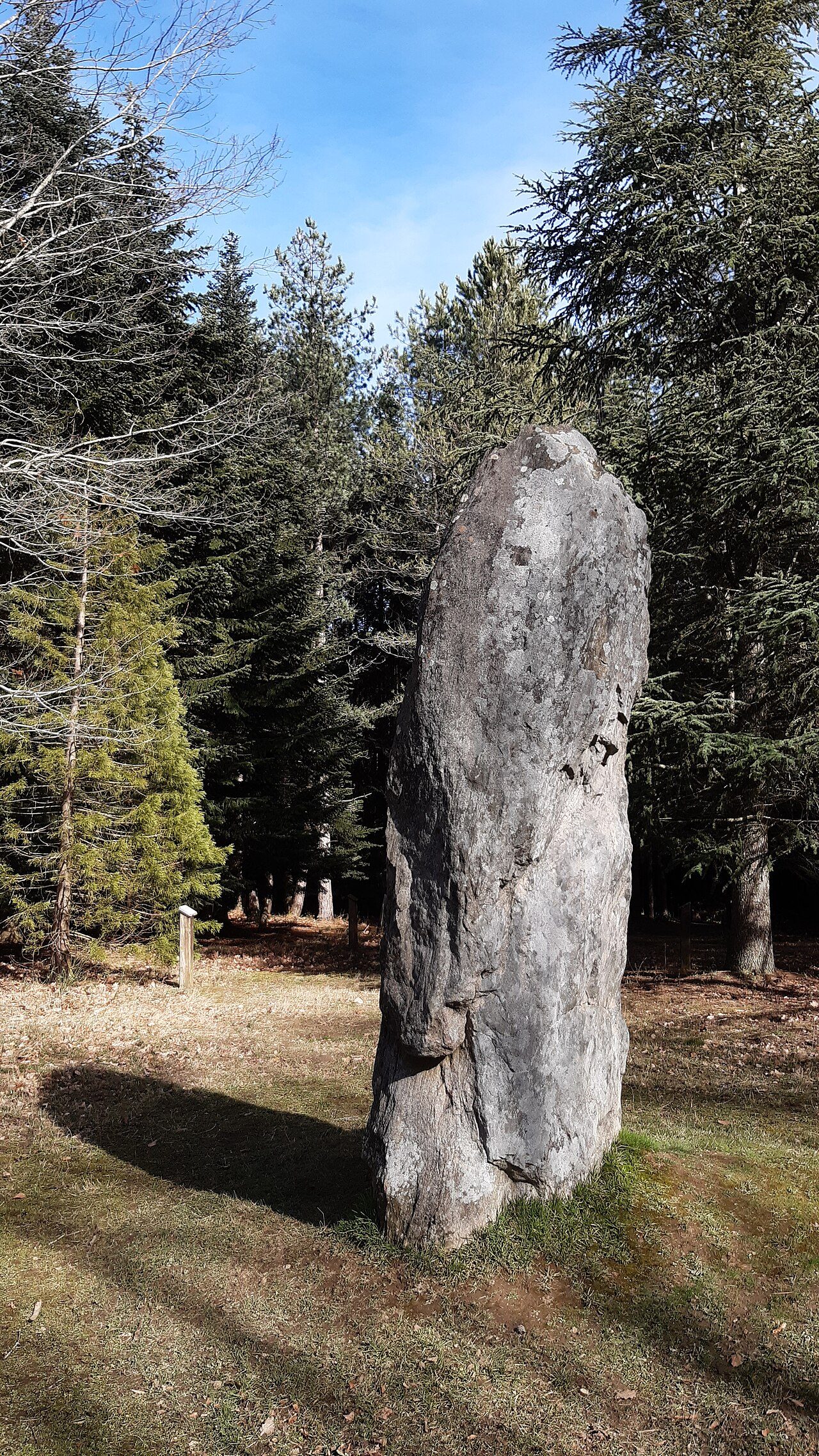 Arboretum du Bois des Brosses à Menat