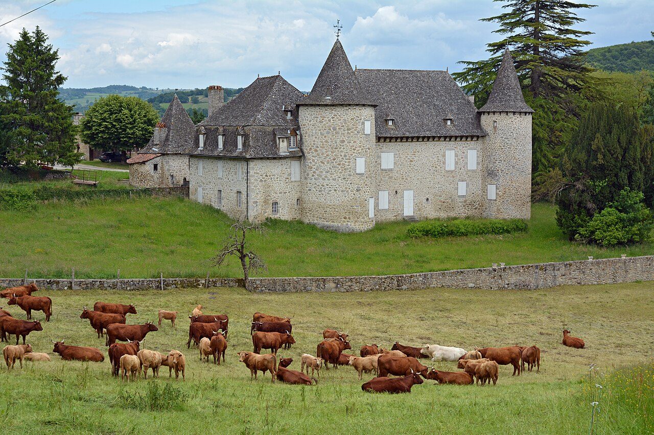 Château d'Entraygues à Boisset