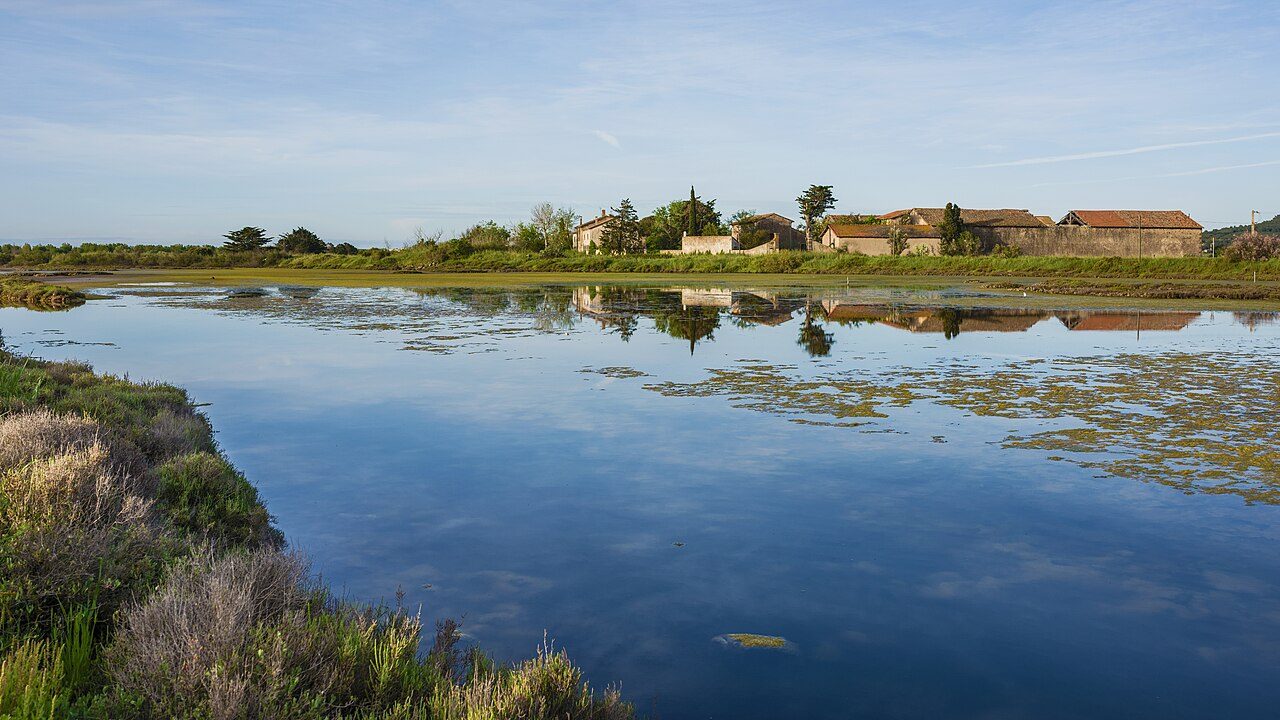 LA RÉSERVE NATURELLE DU BAGNAS à Marseillan