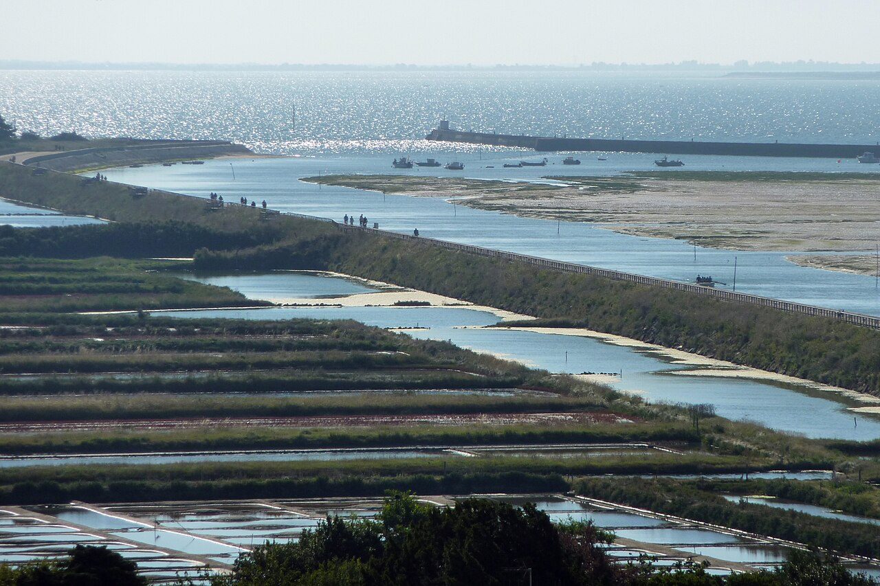 Le marais de Vue à Vue
