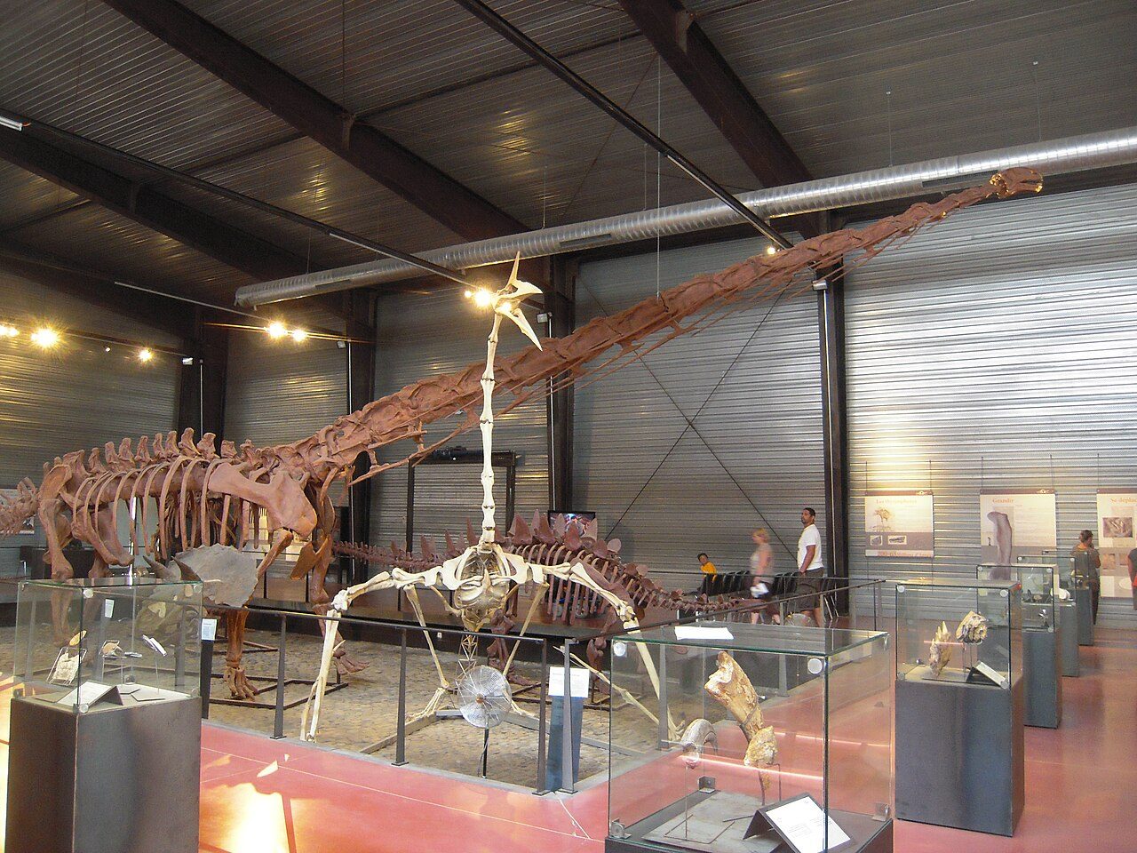 MUSÉE DES DINOSAURES à Espéraza