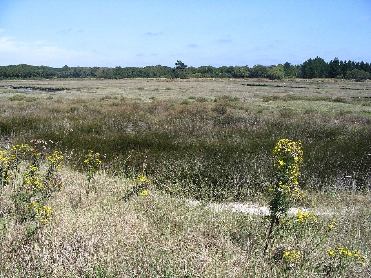 Le Polder de Mousterlin à Fouesnant