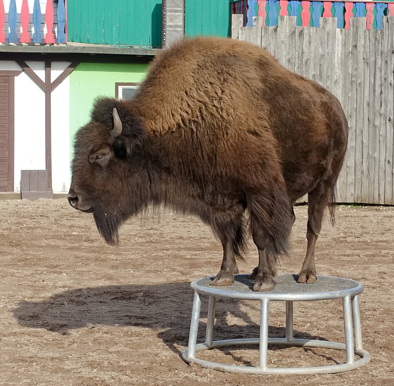 Safariland