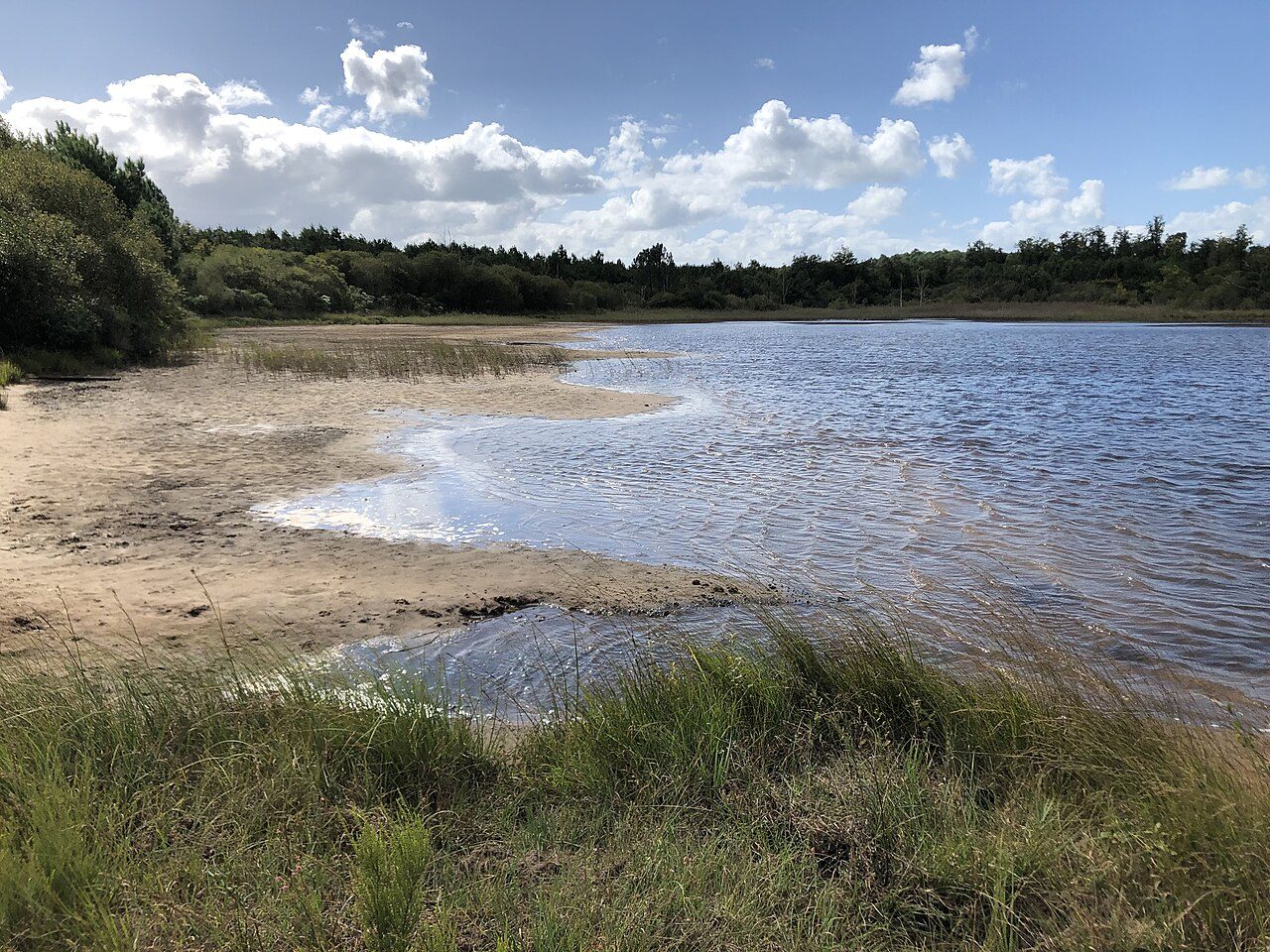 Etang de Langouarde à Le Porge
