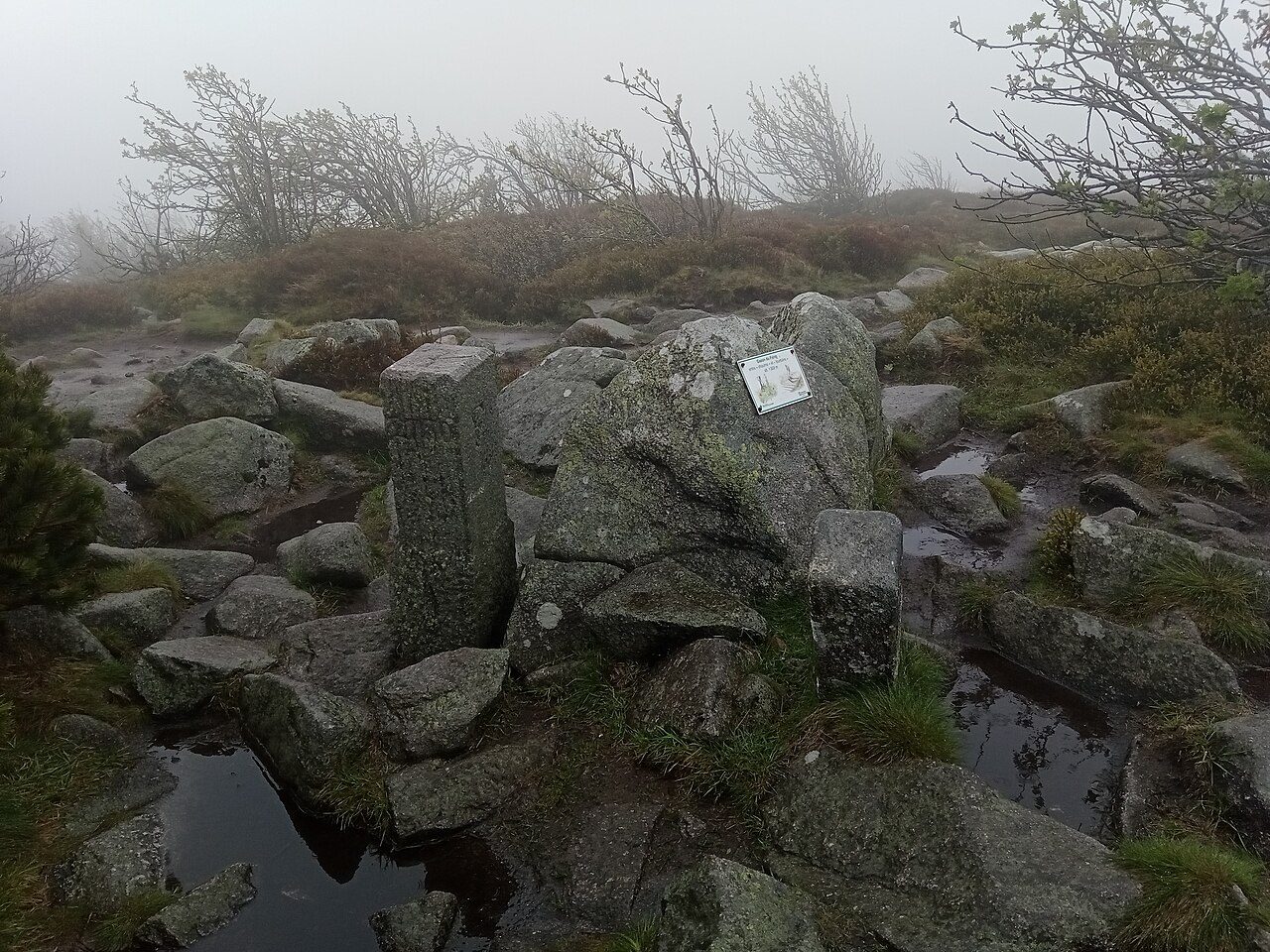 Sommet du Gazon du Faing à Plainfaing