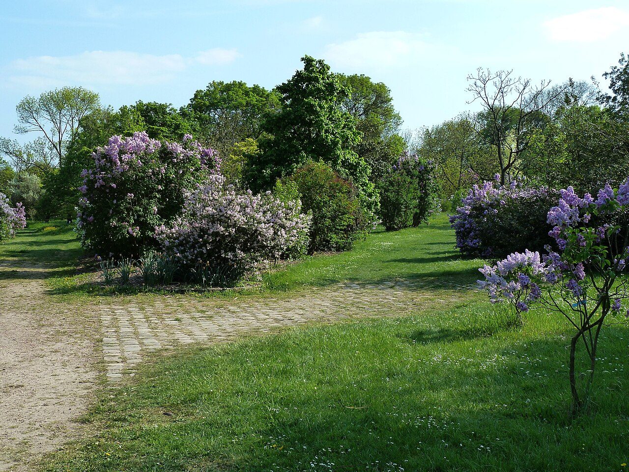 Arboretum - Jardin botanique de Paris à Paris