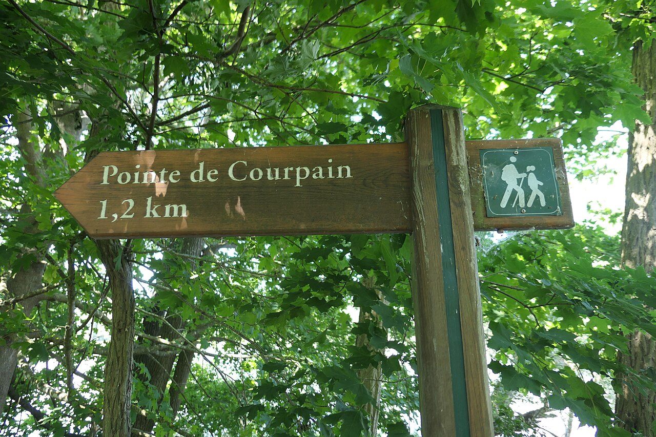 Réserve naturelle de Saint-Mesmin à Saint-Pryvé-Saint-Mesmin