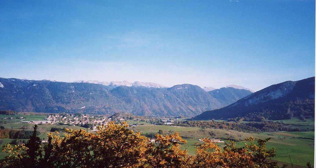 La Chapelle en Vercors, village botanique : les vivaces de montagne à La Chapelle-en-Vercors