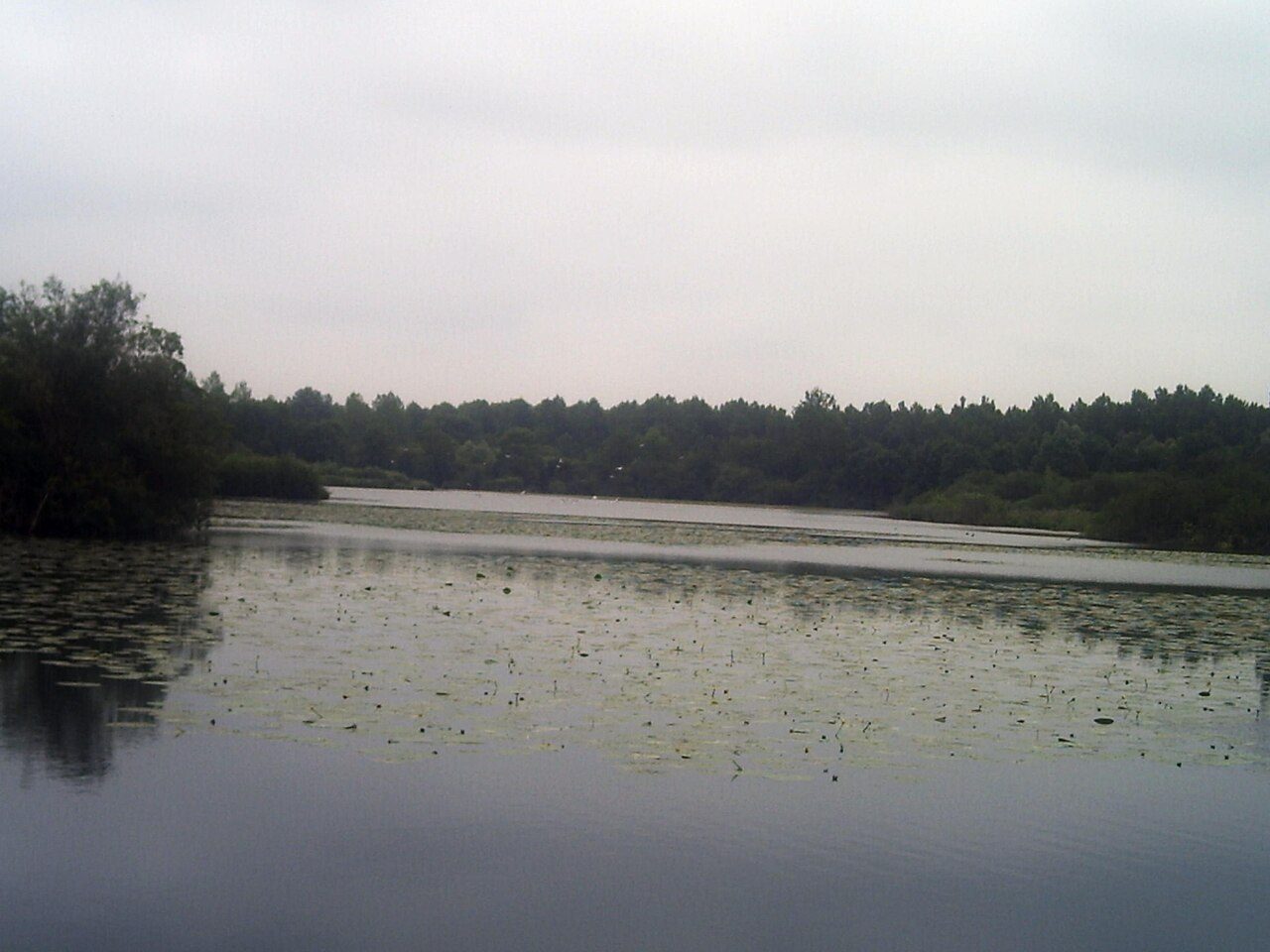 Réserve de l'Etang Saint-Ladre à Boves à Boves