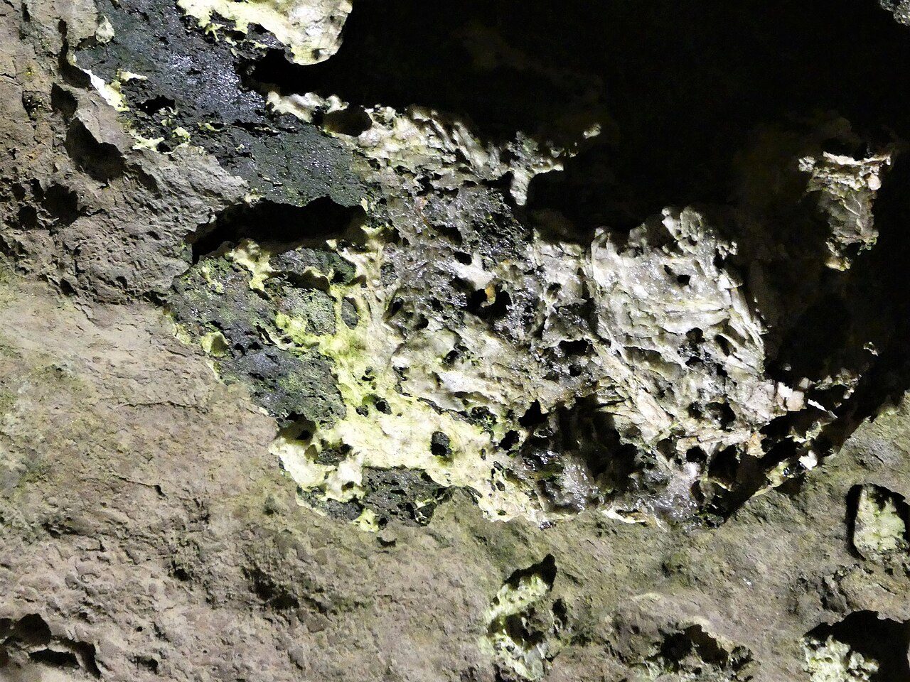 Abîme de Bramabiau à Saint-Sauveur-Camprieu