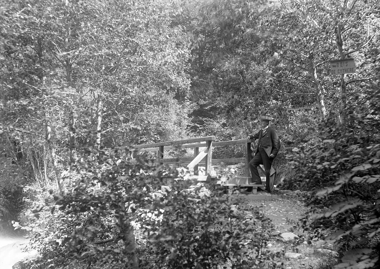 Bois de Cythère