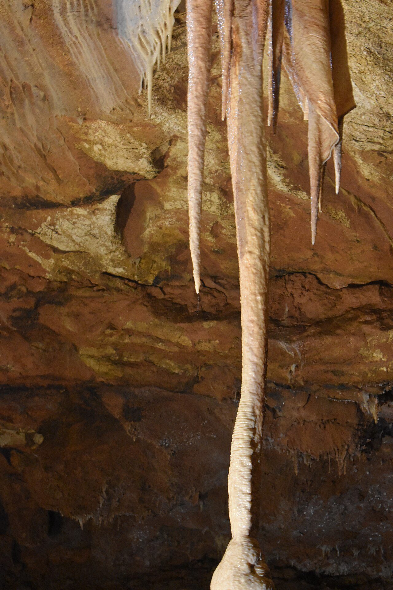 Grottes de Lacave à Lacave