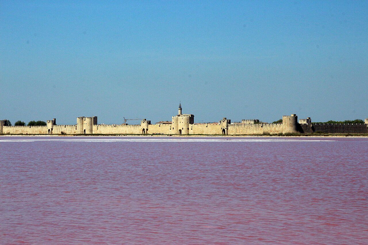 Le Salin d'Aigues-Mortes à Aigues-Mortes