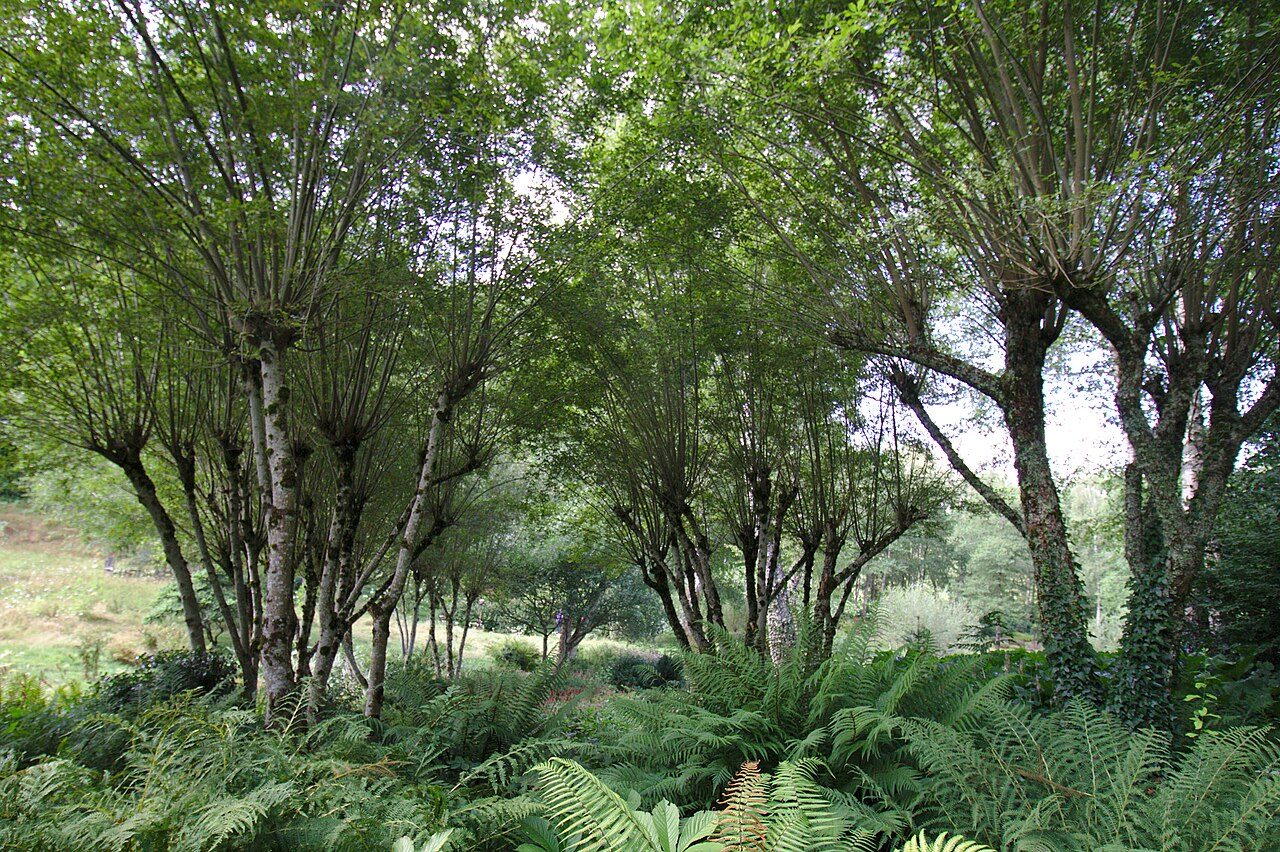 Jardin de Val Maubrune à La Brionne