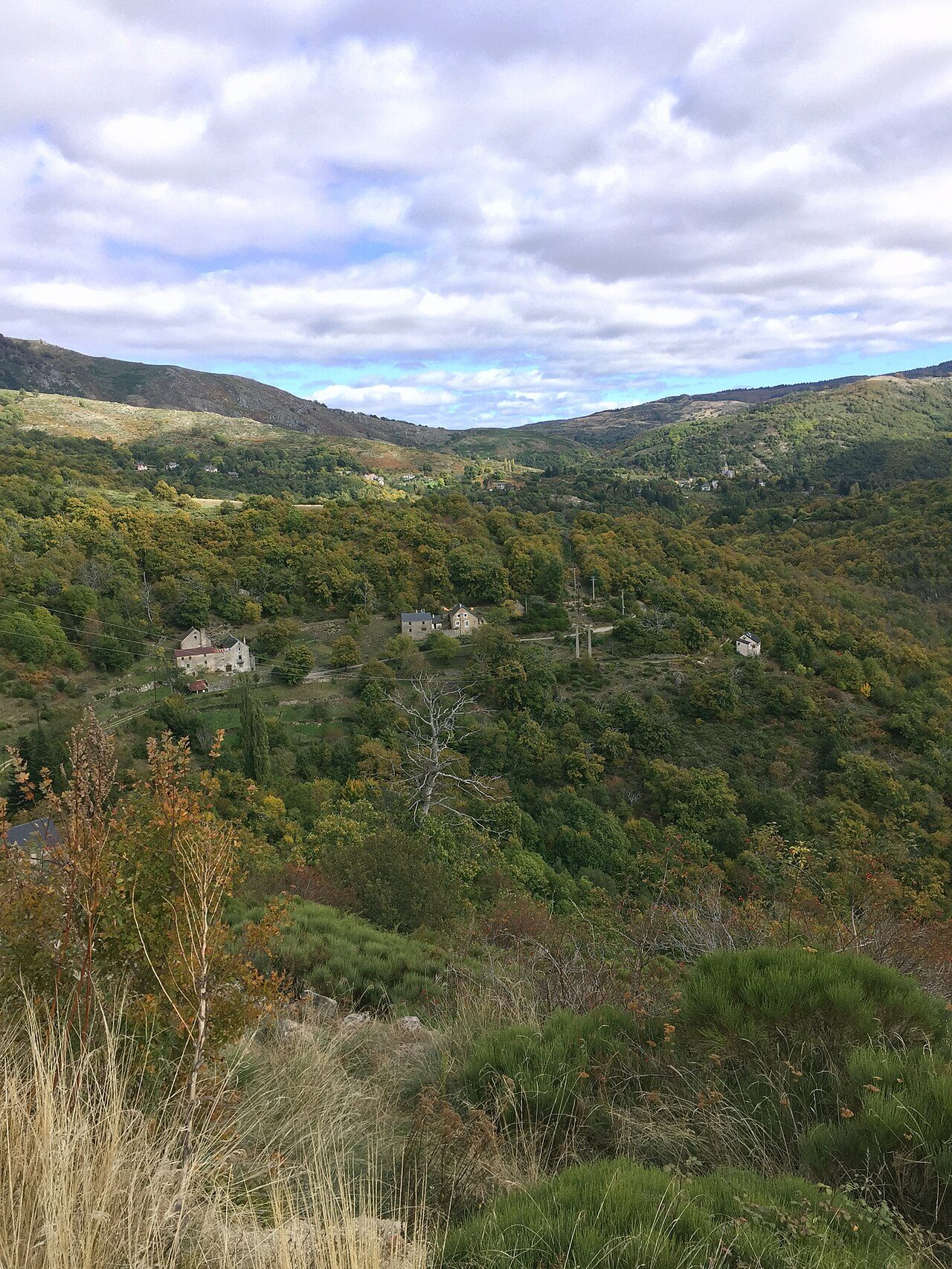 Les gorges de la Dourbie à Dourbies