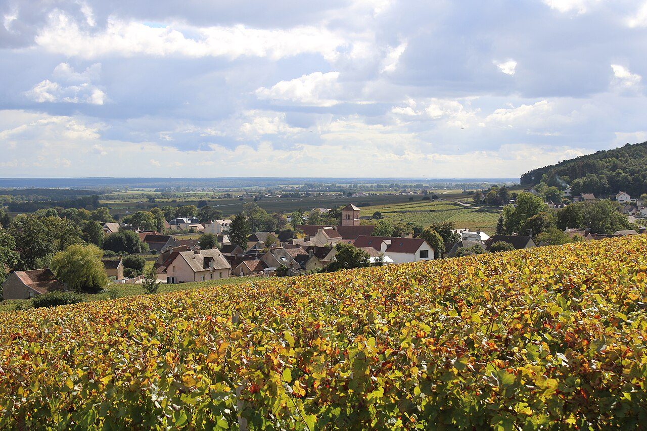 Halle Chambertin à Gevrey-Chambertin