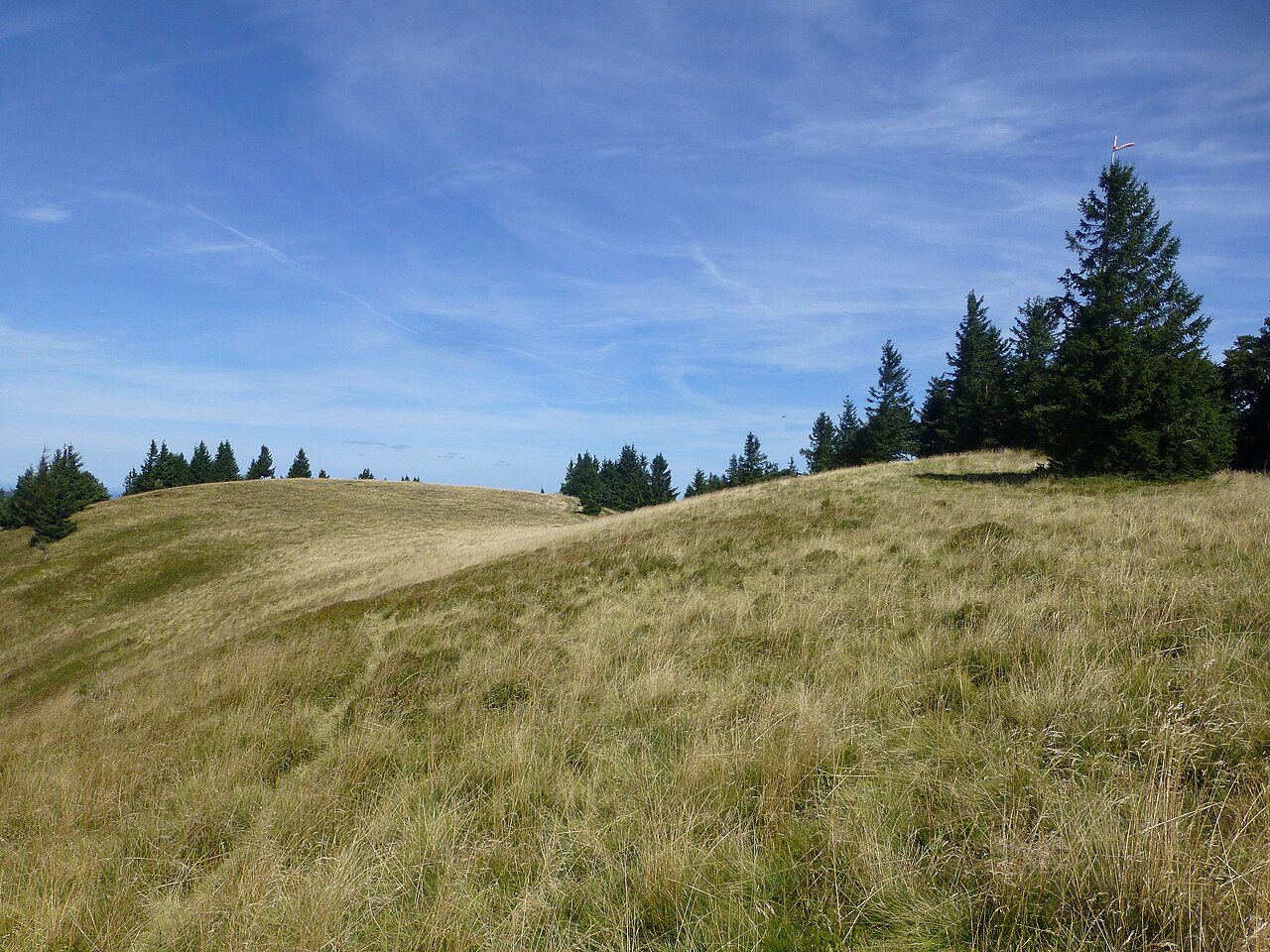 Le Haut Gazon
