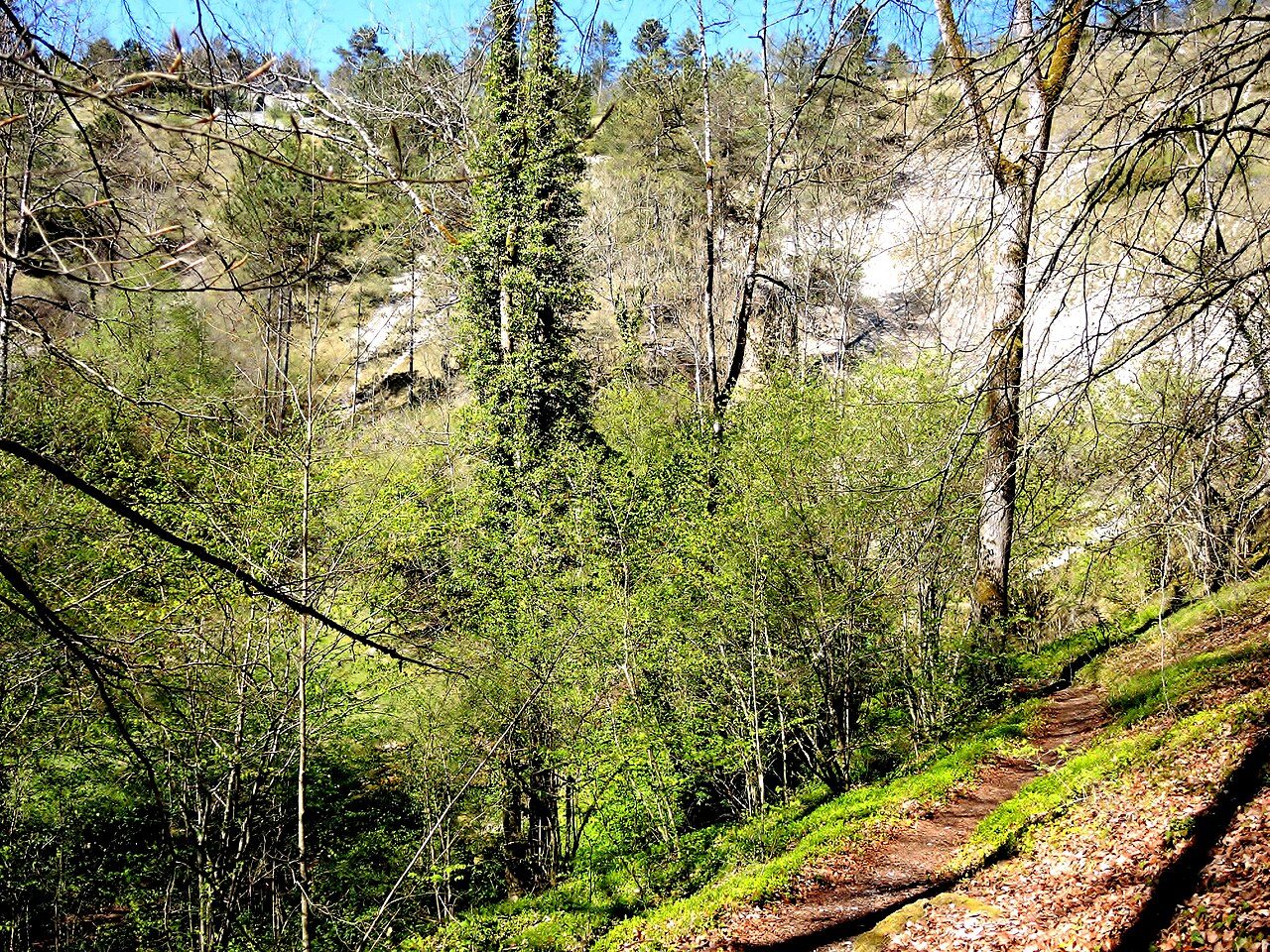 Cirque de la Coquille