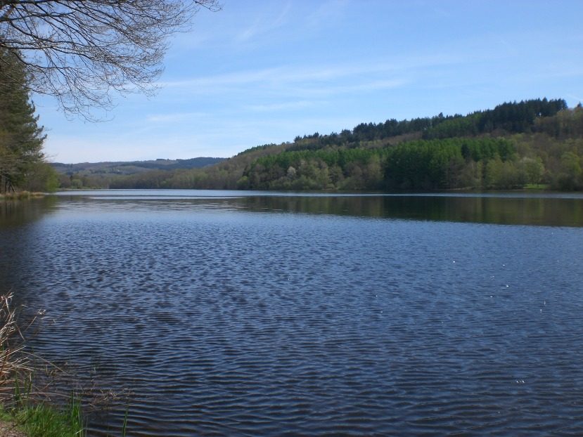 Plage de Chabannes du Lac de Saint-Pardoux à Compreignac