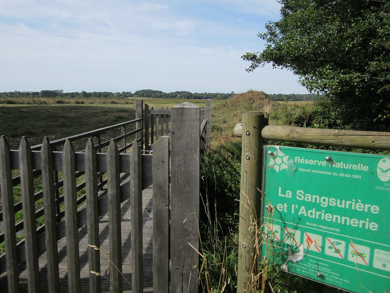 Réserve naturelle de la Sangsurière et de l'Adriennerie à Doville