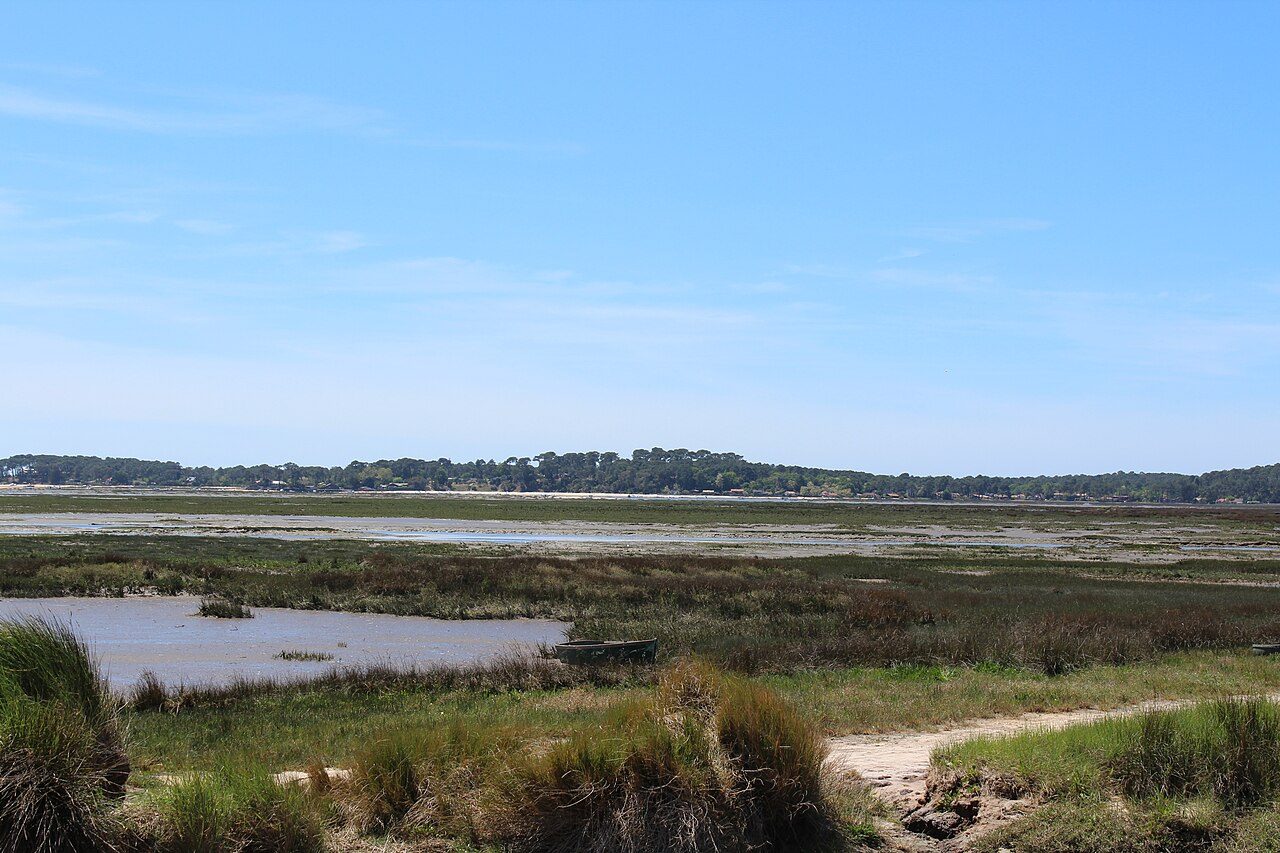 La réserve naturelle des Prés Salés d'Arès-Lège à Lège-Cap-Ferret