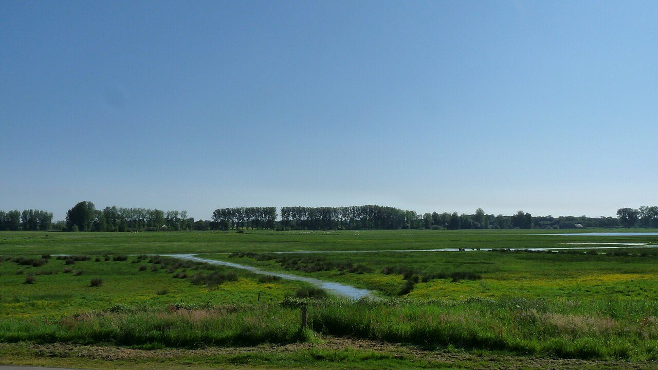 Le Marais de Sougeal à Sougeal