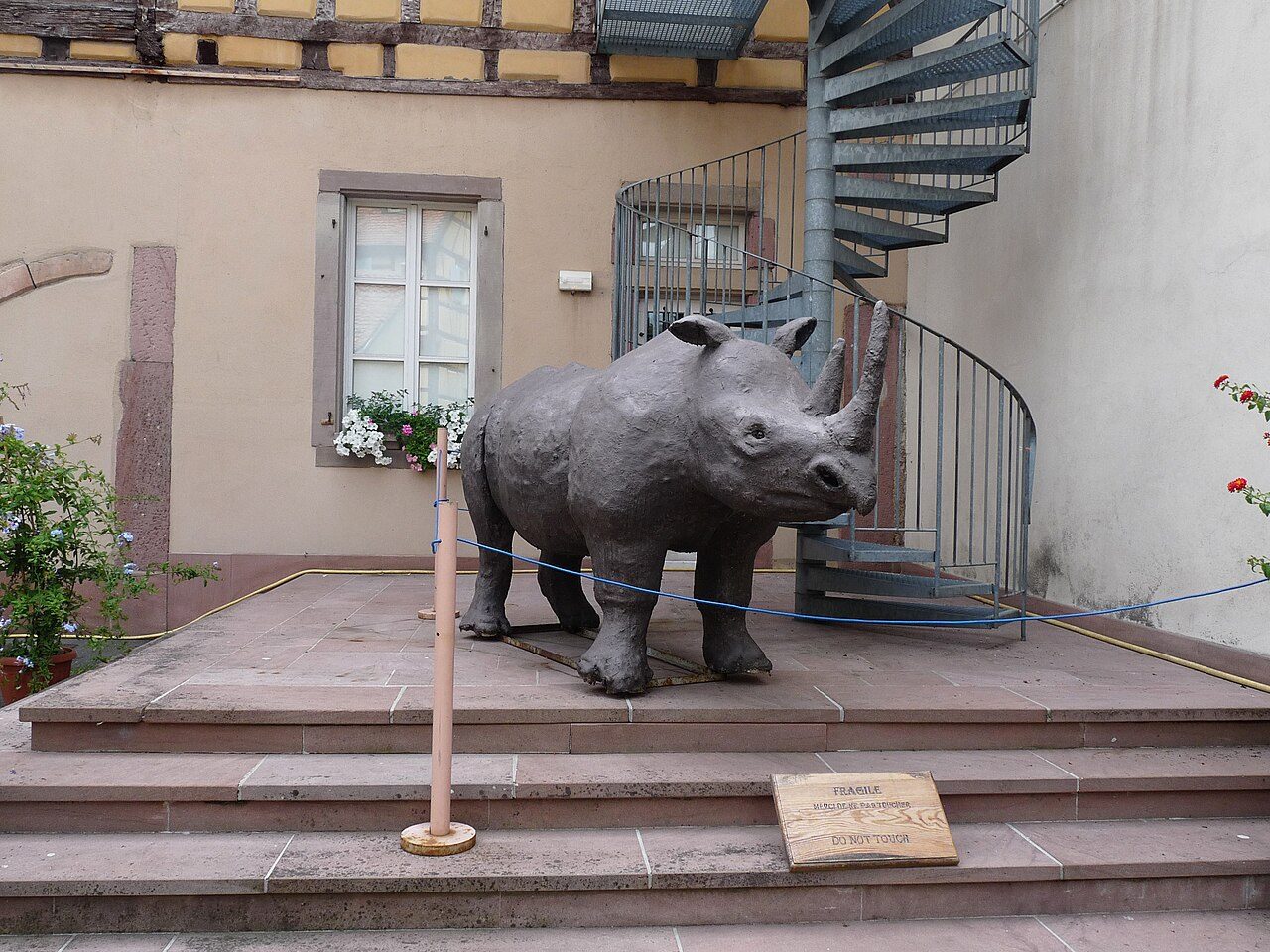 Musée d'Histoire naturelle et d'Ethnographie