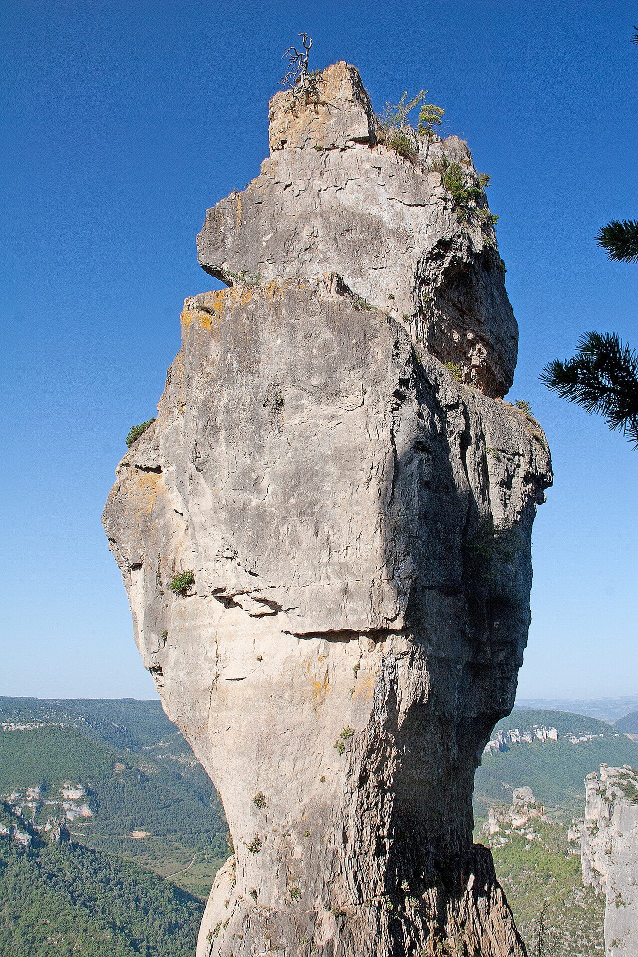 VASE DE CHINE à Le Rozier