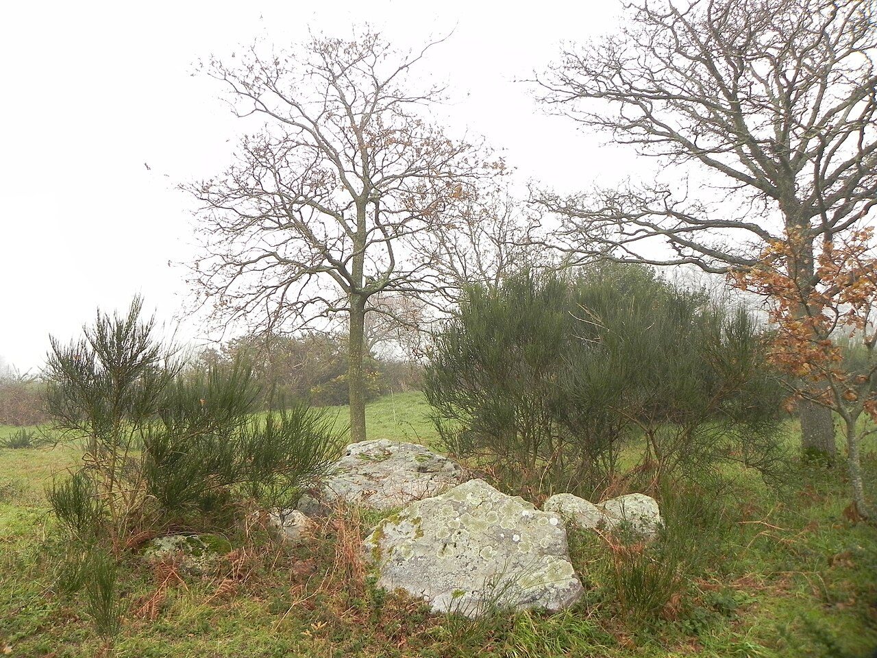 DOLMEN DE LA BRIORDAIS à Saint-Brevin-les-Pins
