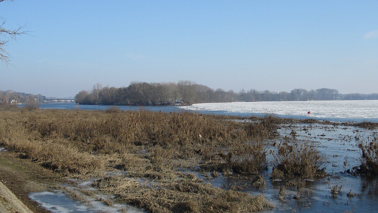 Confluence de la Maine et de la Loire à Bouchemaine