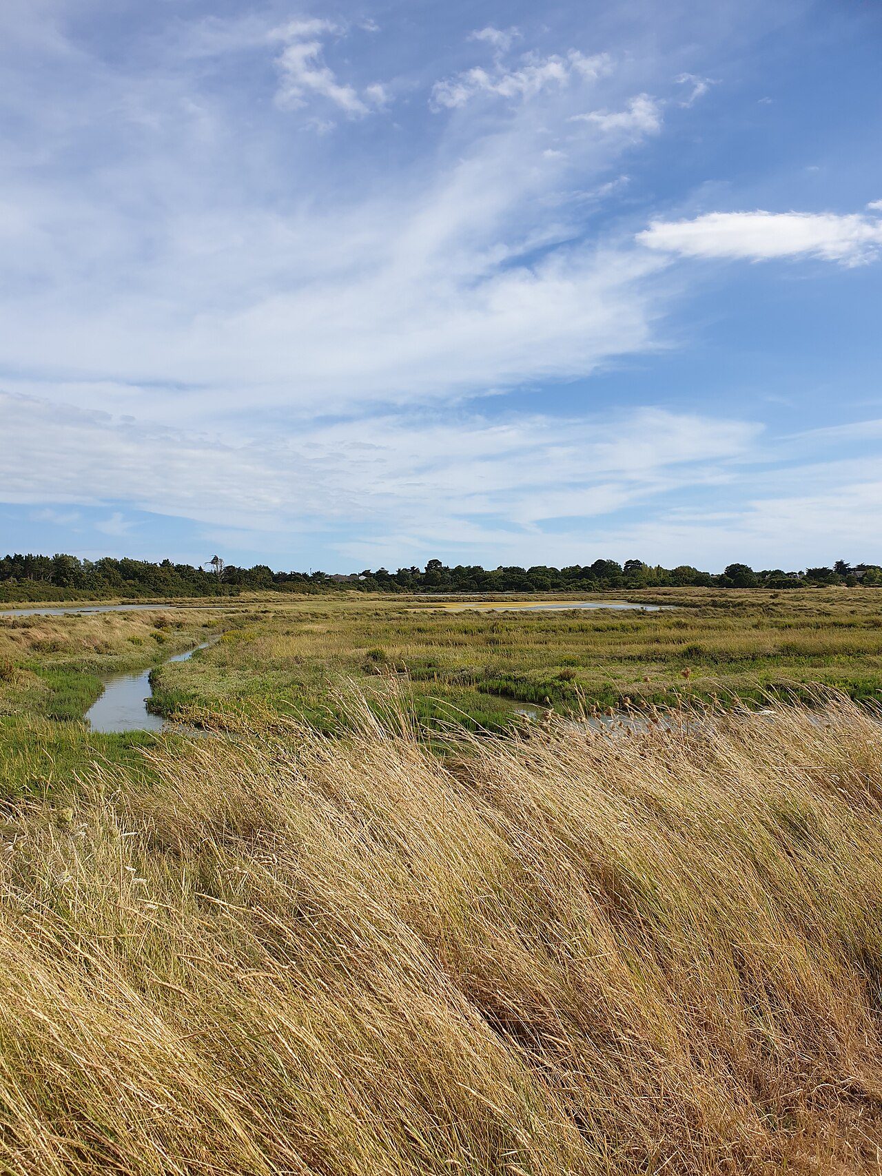 Marais de Lasné à Saint-Armel