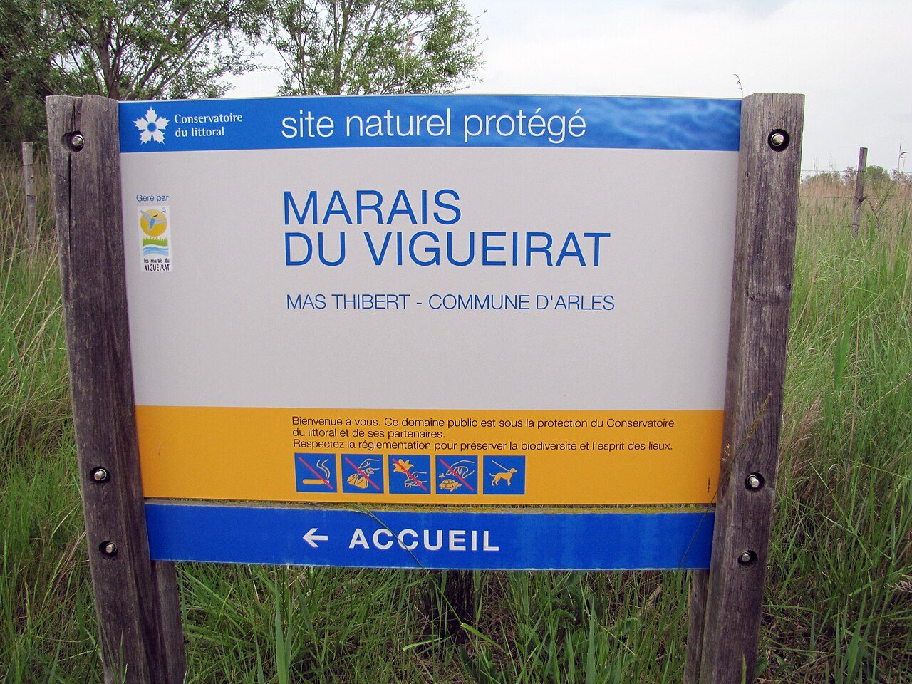 Marais du Vigueirat à Arles