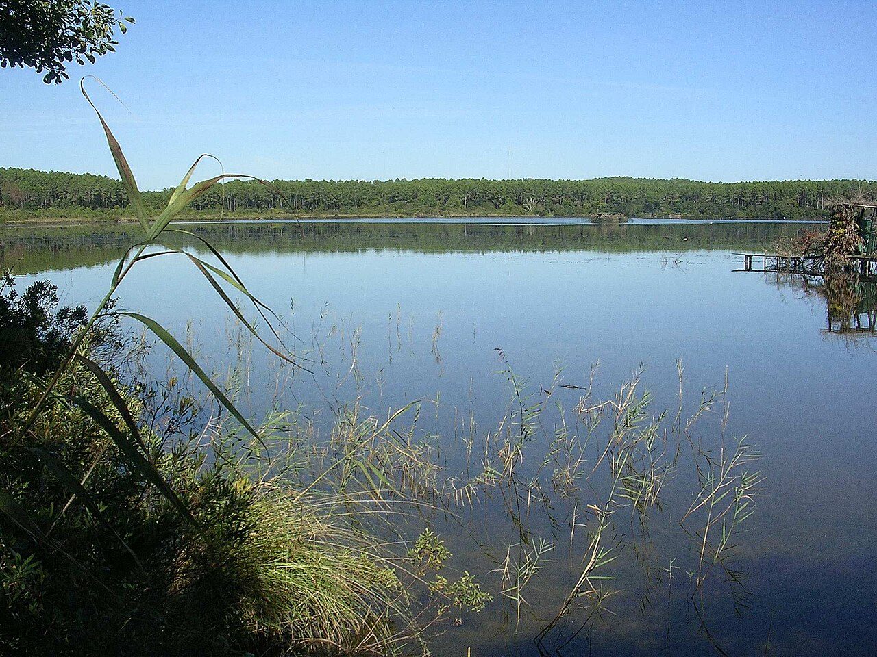 Etang d'Hardy à Soustons