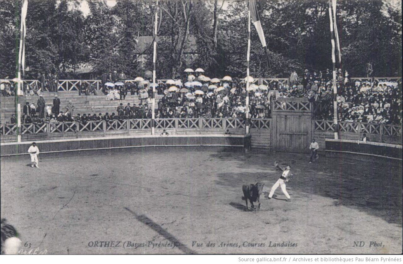 La Moutète à Orthez
